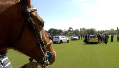 POLO Y DS 4 CROSSBACK