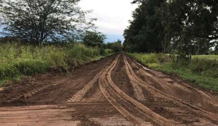 Presencia internacional en el Rally Federal