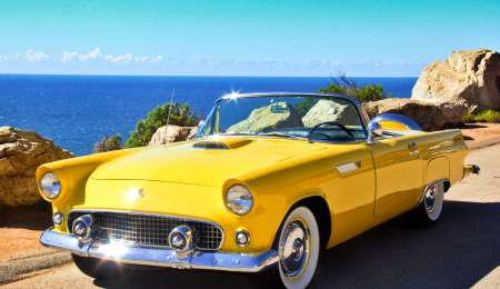 Ford Thunderbird un pájaro de trueno