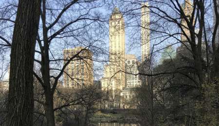Sin autos en el Central Park de Nueva York