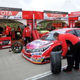 Gandulia desde temprano