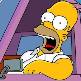 Lo paró un control policial y mostró la licencia de Homero Simpson