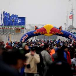 El color siempre lo dan ellos