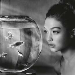 Se presentó el calendario Pirelli 2019