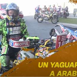 Verza, el Yaguareté del Dakar