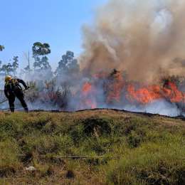 El piloto que defiende el medio ambiente