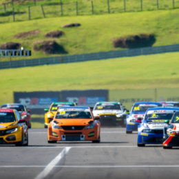 Calendario confirmado