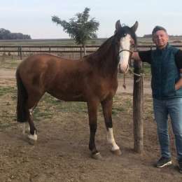 Ortelli y su nueva vida: “Disfrutamos mucho del campo, es lo que nos gusta”