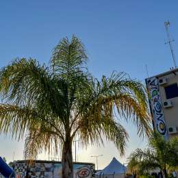 ¡Una baja de último momento para Concordia!