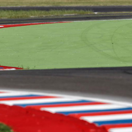 VIDEO: el extraño intruso que invadió la pista