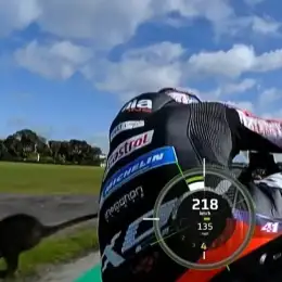 VIDEO: Aleix Espargaró estuvo cerca de golpear un wallaby a más de 200 km/h