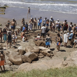 Como un Fiat 600: el increible hallazgo arqueológico en Chapadmalal