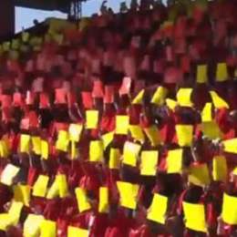 ¡Pura pasión! la increíble participación de los tifosi de Ferrari en la presentación del SF-23