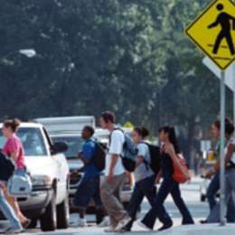 ¿Por qué se conmemora el Día de la Seguridad Vial Peatonal?