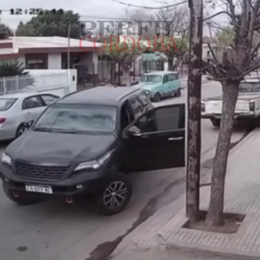 ¡Insólito! Un perro se subió a una camioneta, aceleró y chocó