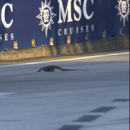 El extraño intruso que tuvo la F1 en Singapur