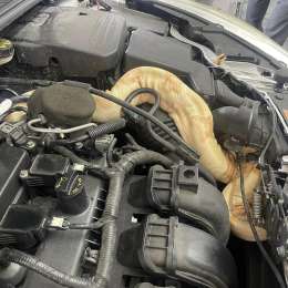 ¡Insólito! Encontró una serpiente en el motor del auto