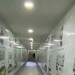 La decoración especial del túnel del Gálvez para los 200 km de Buenos Aires