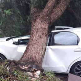 ¿Tu auto sufrió daños por el temporal? Enterate cómo tenés que reclamarle al seguro