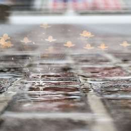 IndyCar: la lluvia decretó el final de los Open Test para la Indy500