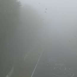 24 Horas de Nürburgring: la niebla no da tregua y la carrera se consume sin velocidad