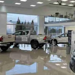 Cayó la venta de 0 km y una Pick Up lidera el mercado nacional