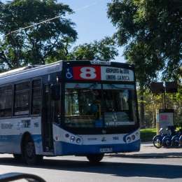 Los colectivos reducirán el servicio en el AMBA: a partir de cuándo y a quiénes afectará