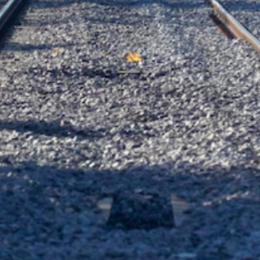 Paro de trenes por 24 horas: qué líneas se verán afectadas este 18 de diciembre