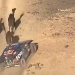 Dakar 2025: ¡Insólito! Un reconocido piloto casi atropella a un grupo de camellos en la Etapa de 48 Horas