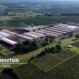 Scania Argentina genera energía para la producción de Yerba Playadito