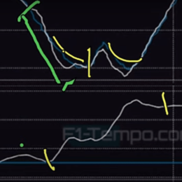 F1: la gran diferencia de Lawson y Verstappen reflejada en los datos