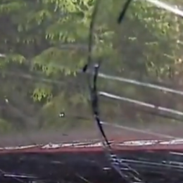 Así fue el duro accidente del papá de Verstappen en el Campeonato Europeo de Rally