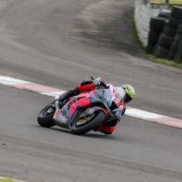 Victoria de Ribodino en Brasil