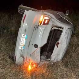 Un conductor volcó tras embestir un jabalí en la Ruta 188