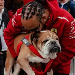 Murió Roscoe, el perro de Lewis Hamilton: "Tuve que tomar la decisión más difícil de mi vida"