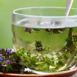 Salud y bienestar: el poder ancestral del té para conciliar el sueño