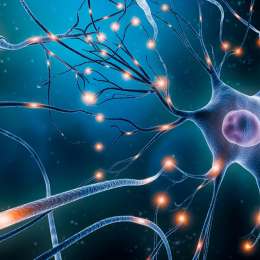 La privacidad mental, el último territorio sin ley: Qué protecciones existen (y cuáles no) para los datos neuronales