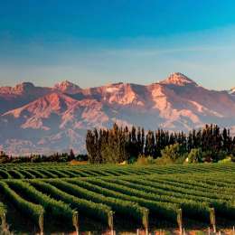 Clima en Mendoza: el pronóstico del tiempo para el fin de semana del 3 y 4 de enero