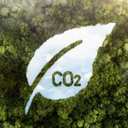 Captura directa de CO₂: ¿promesa climática o distracción política?