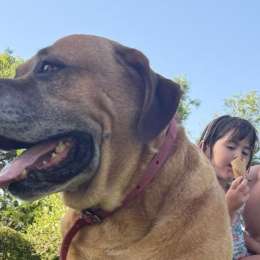 F1: amigos, playa y golf, las postales de las vacaciones de Franco Colapinto en Argentina