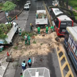 Accidente entre dos colectivos en Barrancas de Belgrano: hay tres heridos