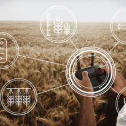 Agricultura 4.0: sensores, drones e IA en el campo