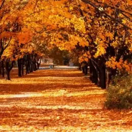 Salud y bienestar; ¿Cómo poner a punto "la máquina" y el hogar para el cambio de temporada?