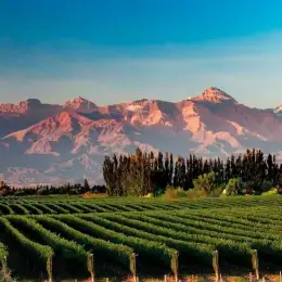 Clima en Mendoza hoy: cómo estará el tiempo este miércoles 1 de abril de 2026 según el Servicio Meteorológico Nacional