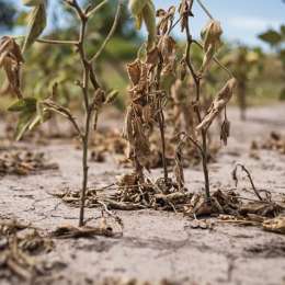 Sequía histórica y ciencia: ¿qué dicen los datos?