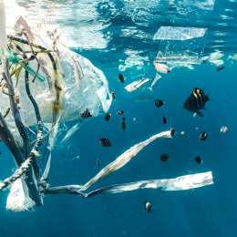 Océanos en crisis tecnológica: robots, sensores e inteligencia artificial contra el deterioro marino