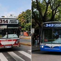 Cuatro nuevos recorridos de colectivos ya funcionan en la Provincia de Buenos Aires: ¿De cuáles se trata?