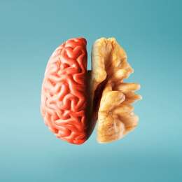 Salud y bienestar: el segundo cerebro: cómo la salud de tu intestino moldea tus emociones y tu mente