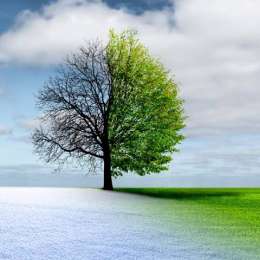 Salud y bienestar: transición alimentaria de invierno a primavera: cómo pasar a platos más frescos sin pasar hambre