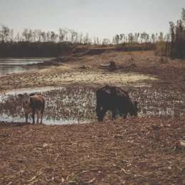 La crisis del agua en Argentina: las provincias que ya enfrentan estrés hídrico